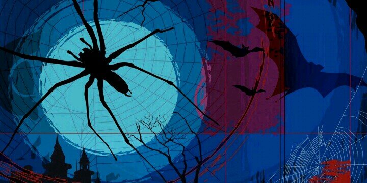 AlexanderOlcay's profile banner image