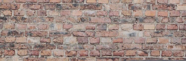 serendipichiim's profile banner image