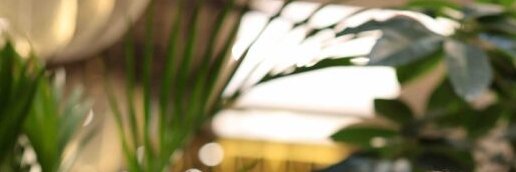 anderssonpetter's profile banner image