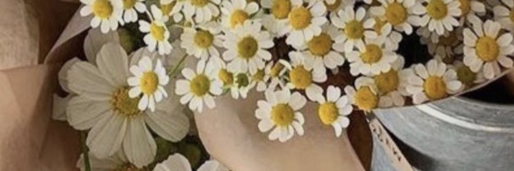 c_abotella's profile banner image