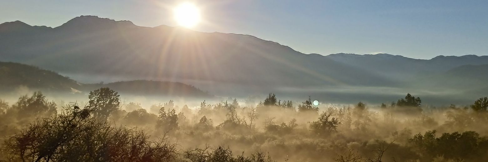 Cristián Barker B. banner