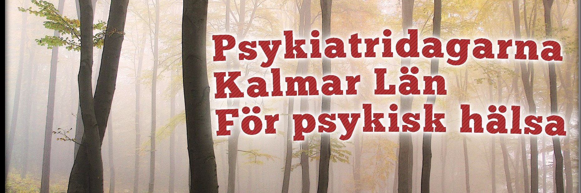 psykdagarna's profile banner image