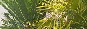 mariantue's profile banner image