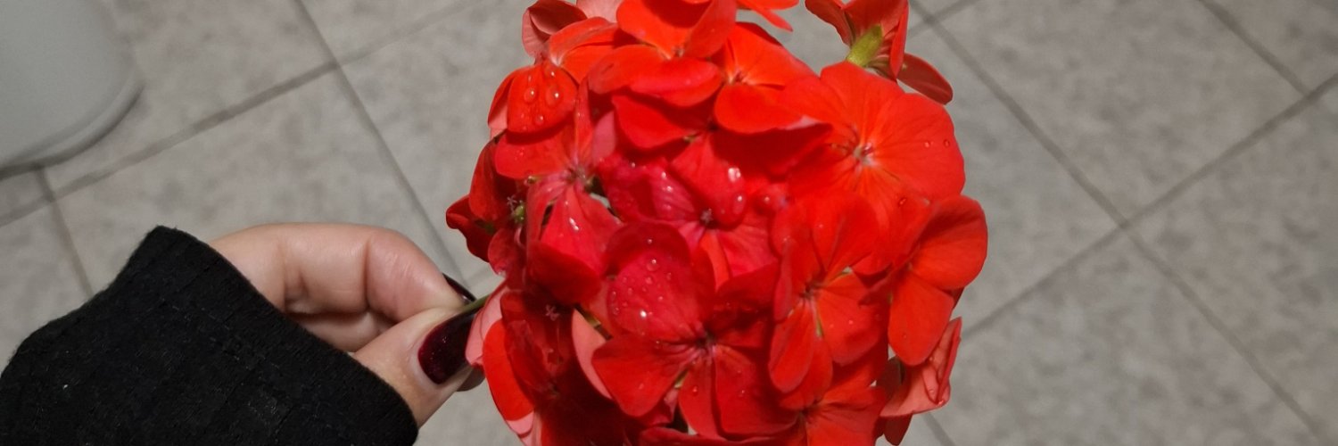 florchucontrer3's profile banner image