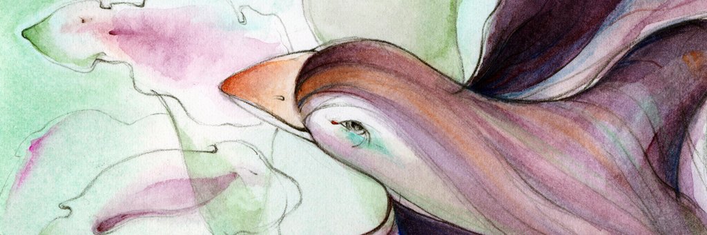 StannieKodman's profile banner image