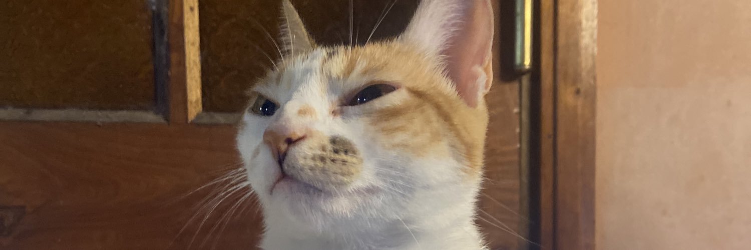 Soffgonzalezc's profile banner image