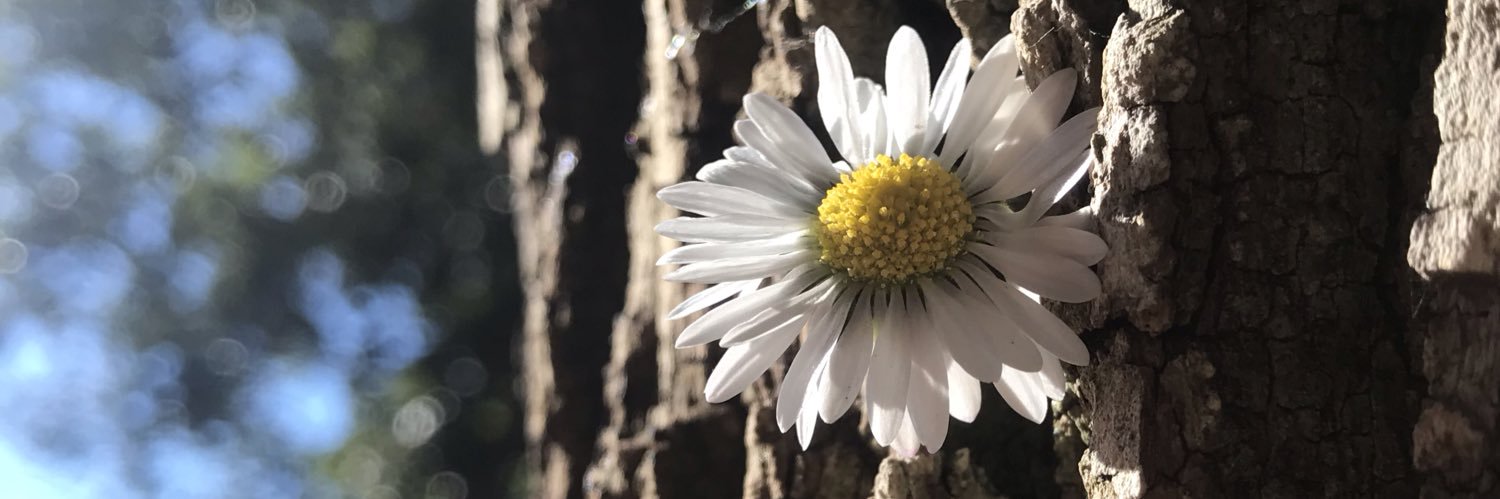 onyoursidexx's profile banner image