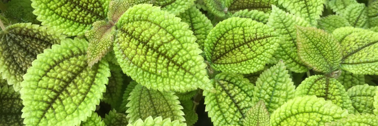 坂口レオウ banner