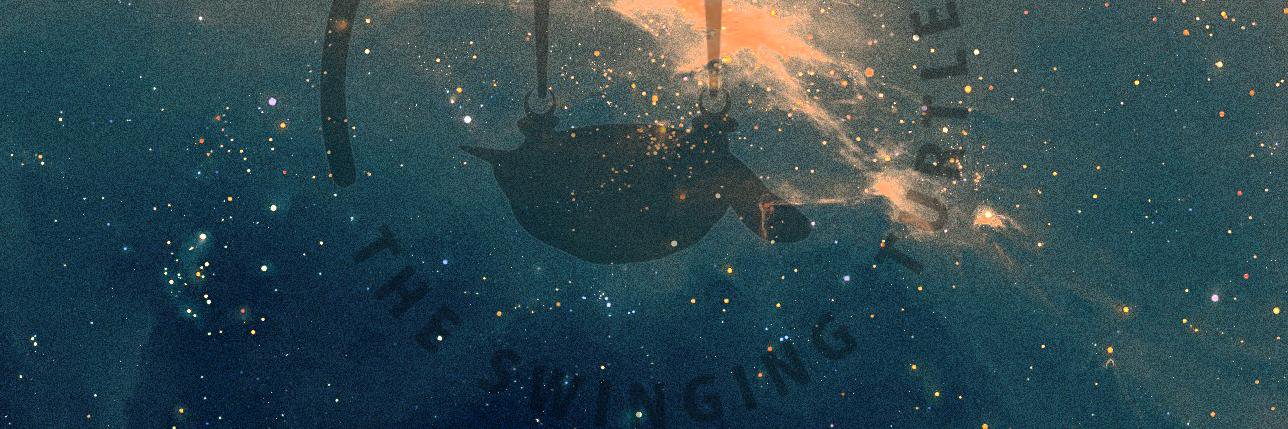 SwingingTurtle_'s profile banner image