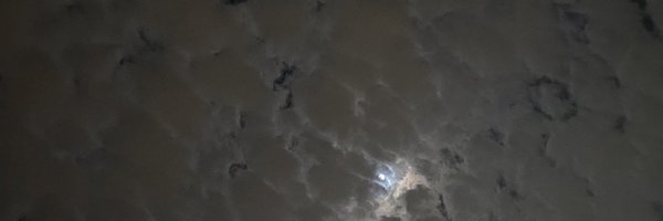 dirtyrascal23 Profile Banner