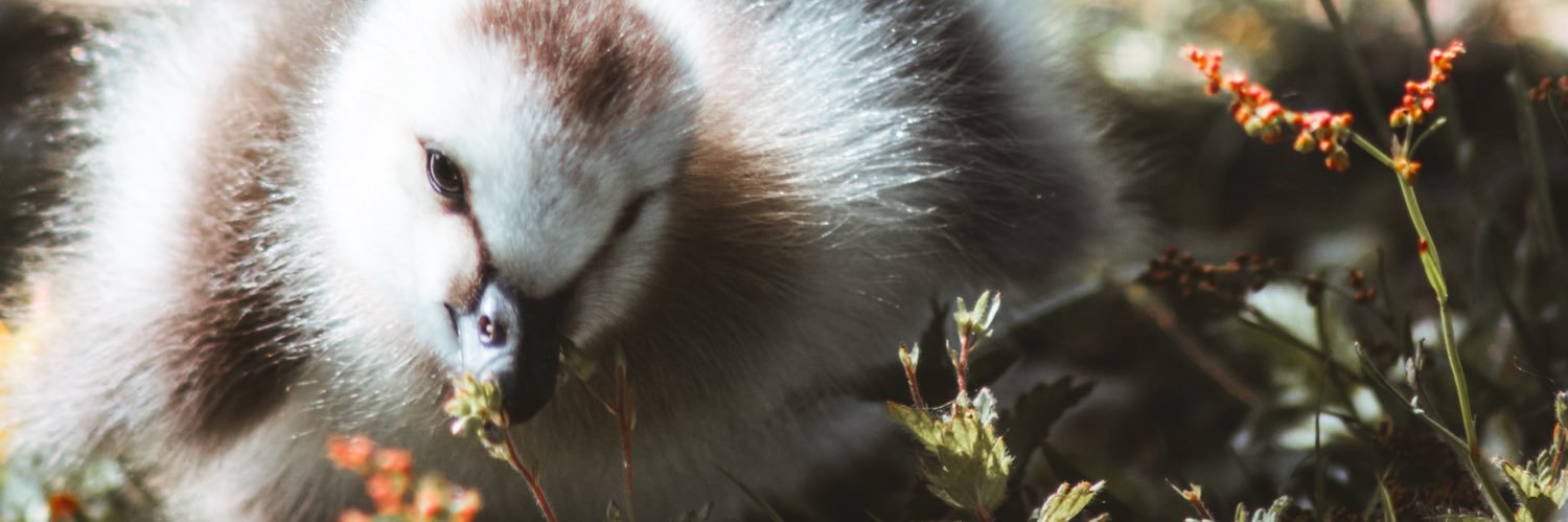DougGrigg's profile banner image