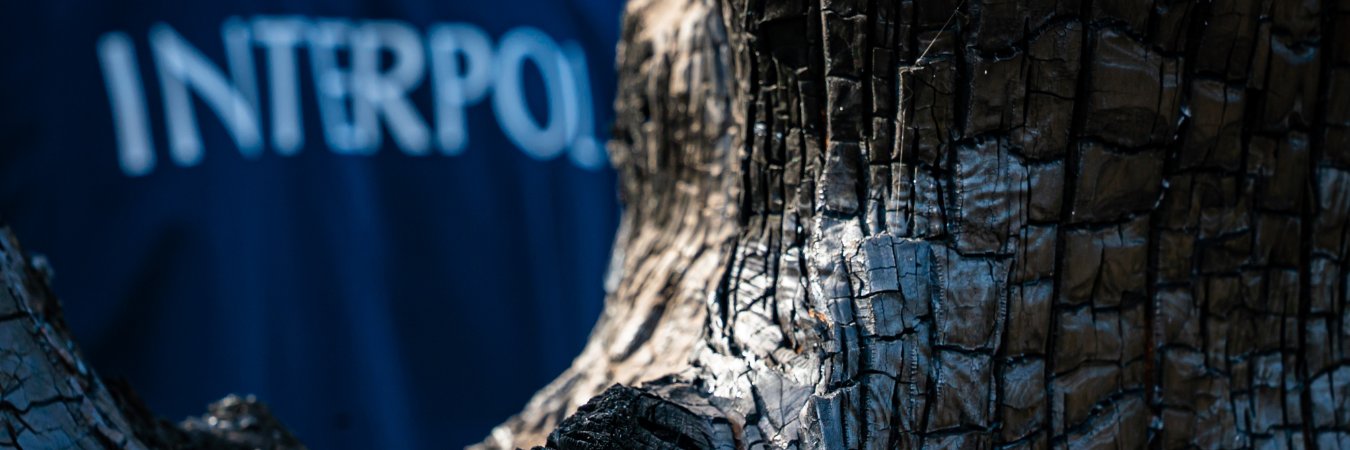 INTERPOL_EC's profile banner image