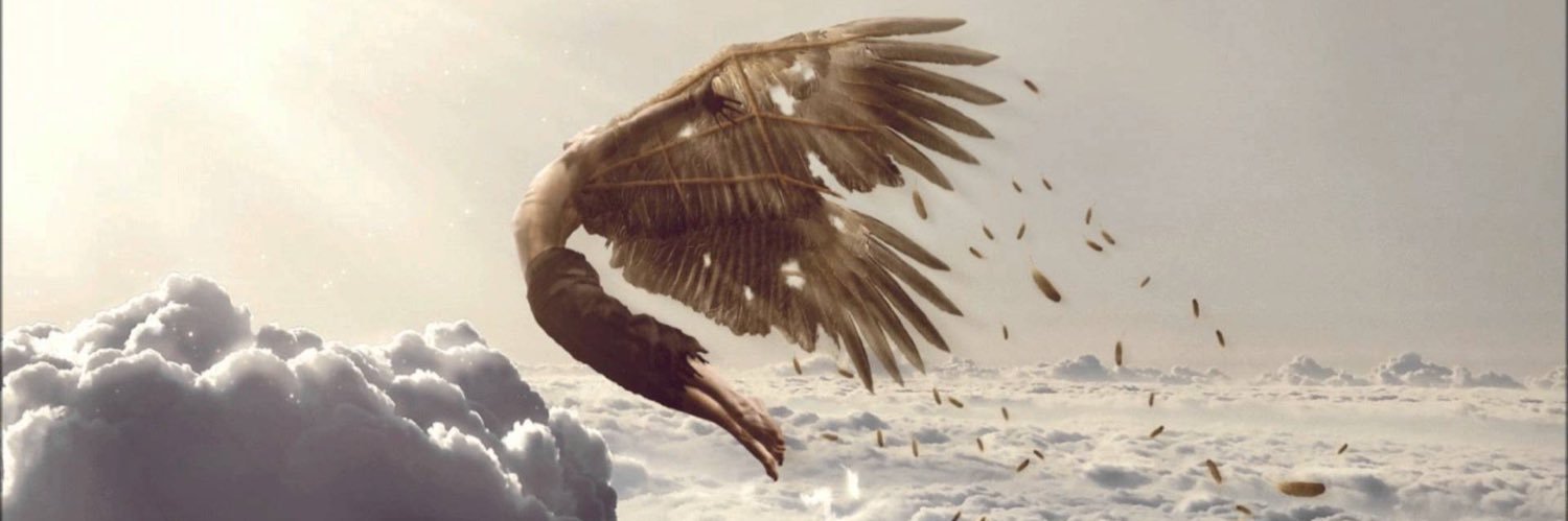 _svso's profile banner image