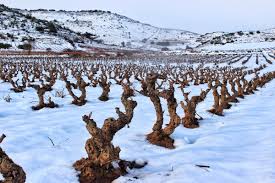 No hay dos sin tres. banner