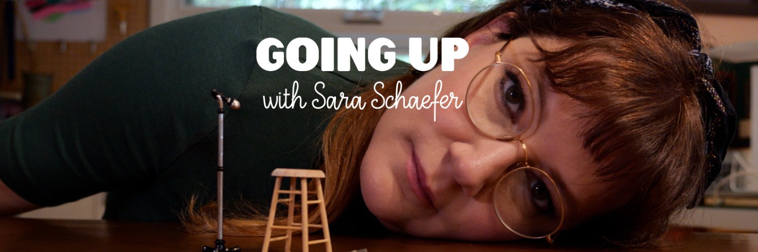 Sara Schaefer banner