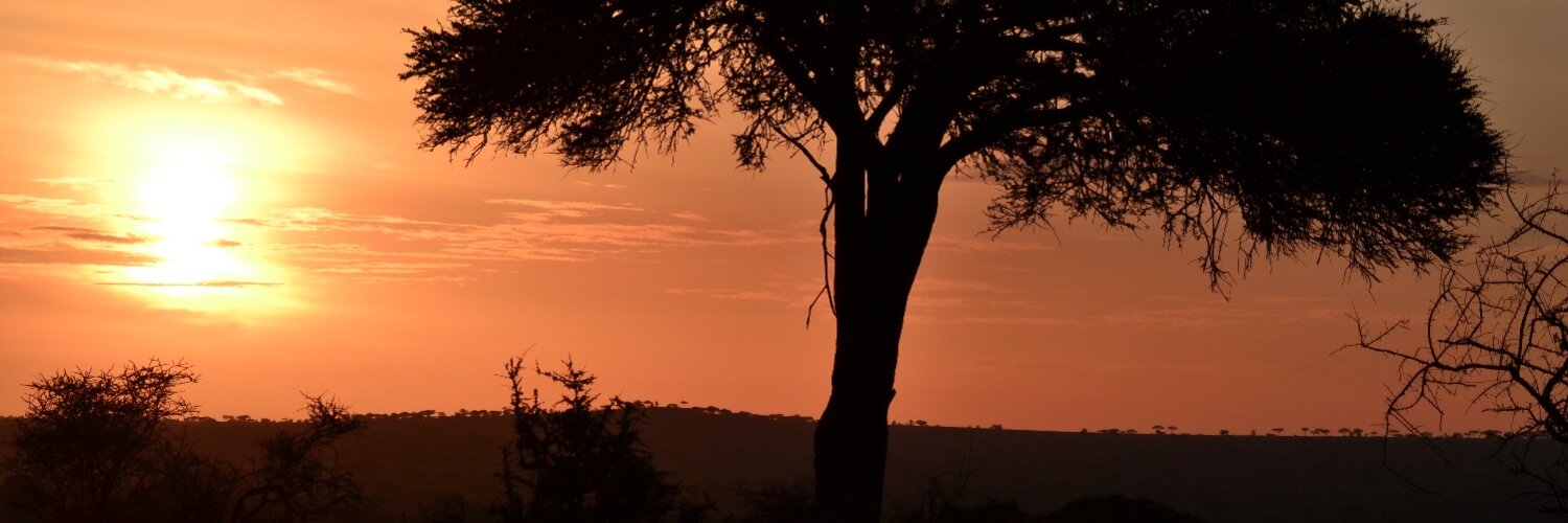 AndreJannelli's profile banner image