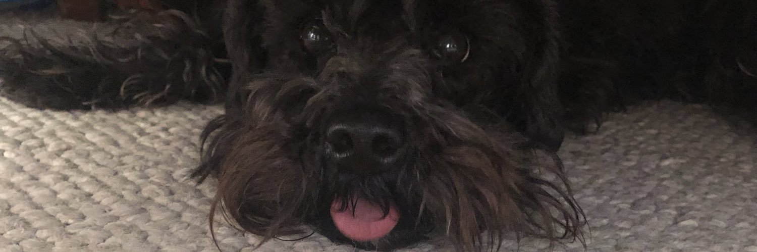 gabycossior's profile banner image
