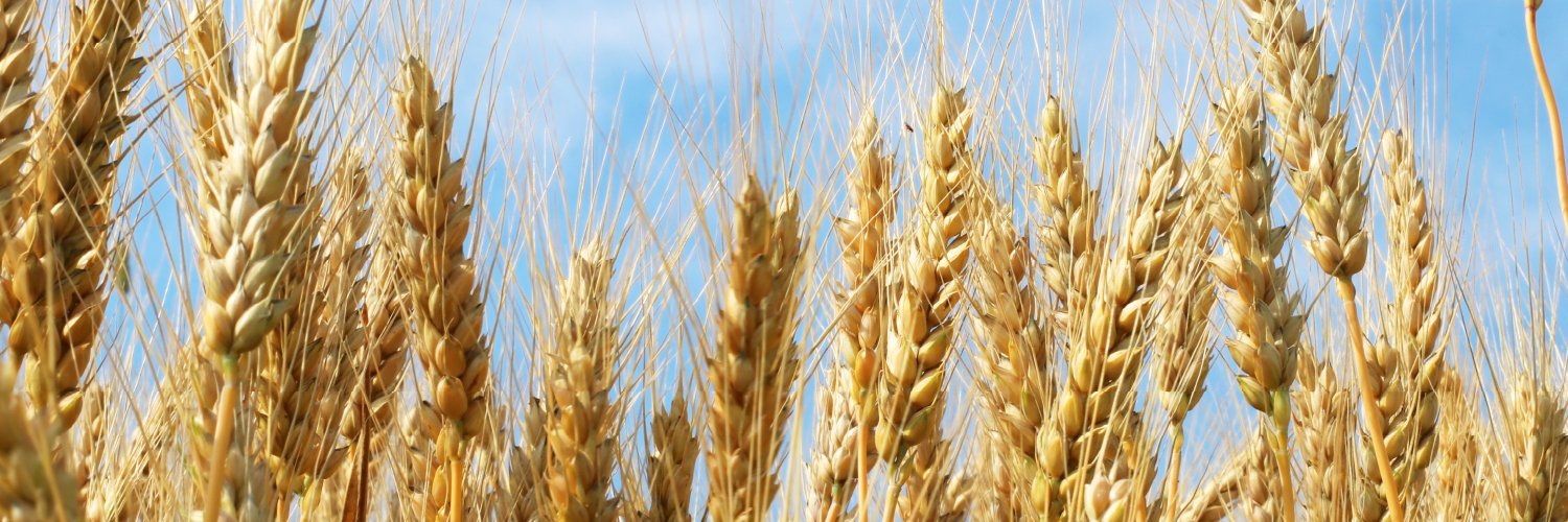 AlbertaAg's profile banner image