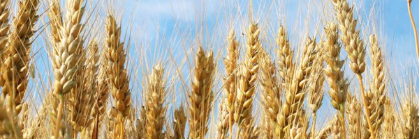 AlbertaAg Profile Banner