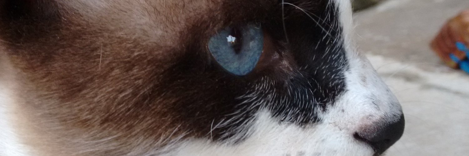 Death_Knight27's profile banner image