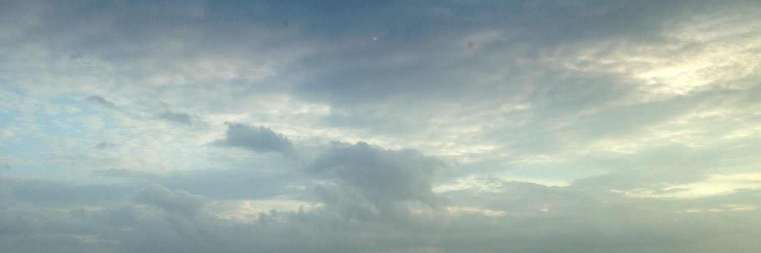 Sure_Path's profile banner image