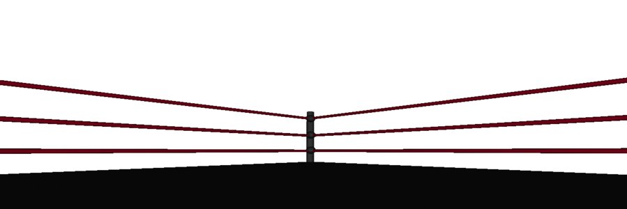 Lucha Libre Colorado banner