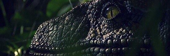 RicotenT's profile banner image