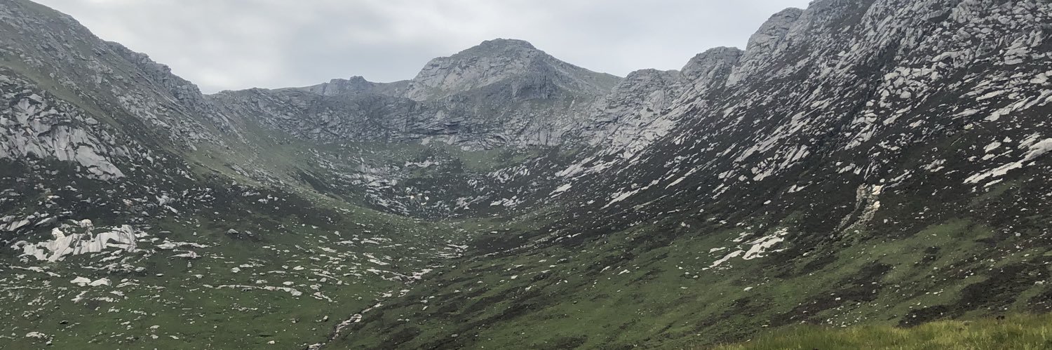 RodgerSangster's profile banner image