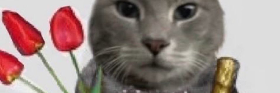 _amy__n's profile banner image
