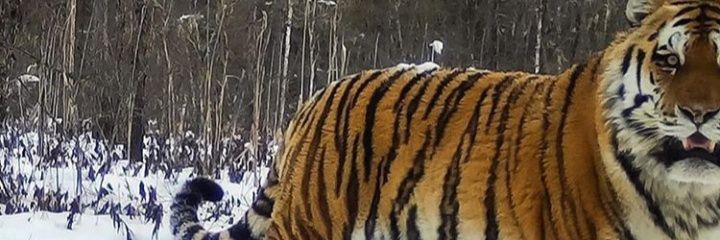 arm_band_'s profile banner image