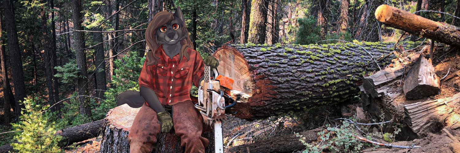 HunterWxlf's profile banner image