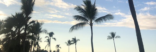 lexirlang Profile Banner