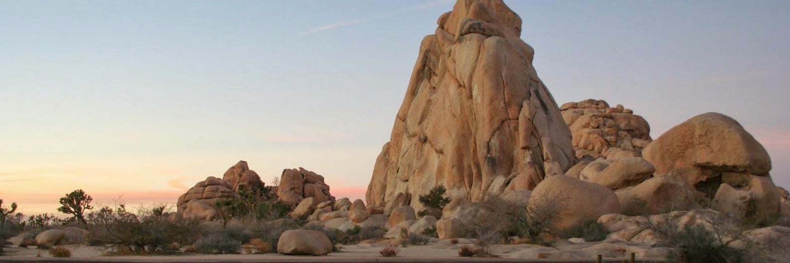 Raquel Nuno 🚀🚢 banner