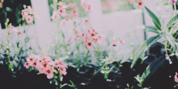 xMarigo_'s profile banner image