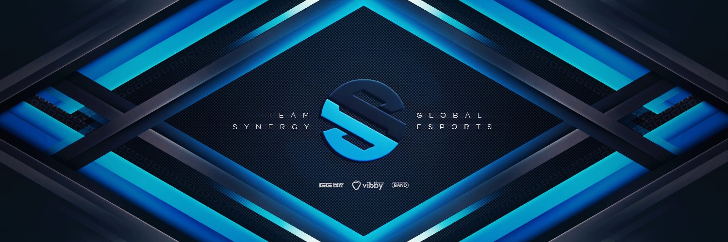 teamsynergyes's profile banner image