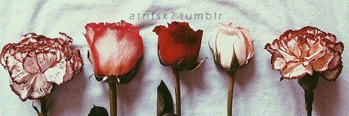 asmaa5902's profile banner image