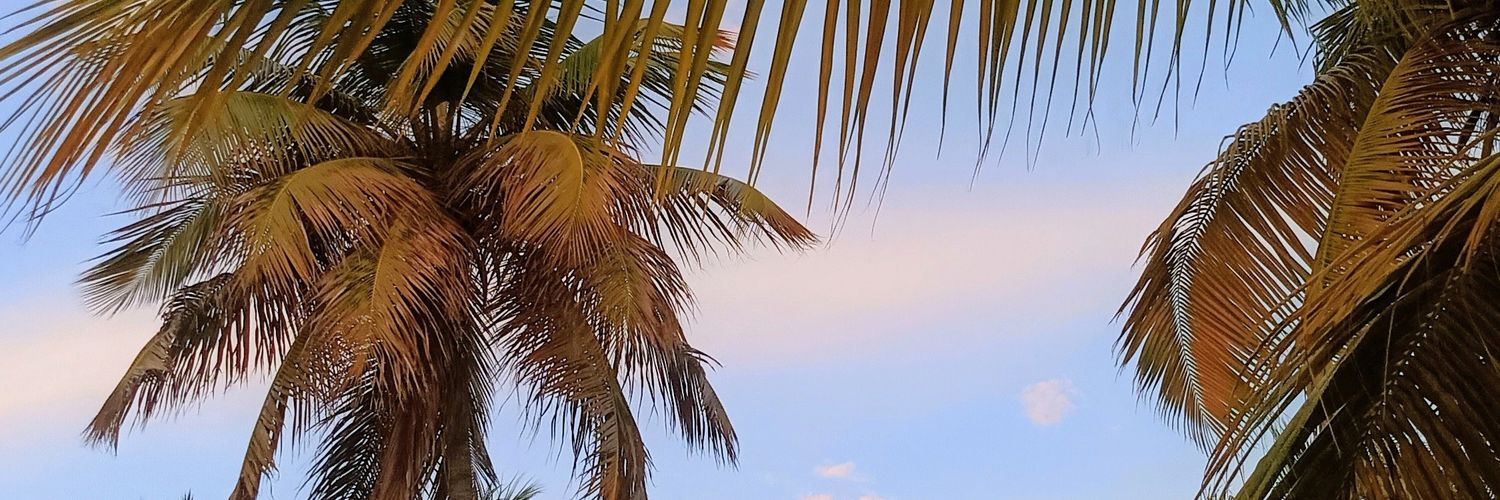 MelloKs_'s profile banner image