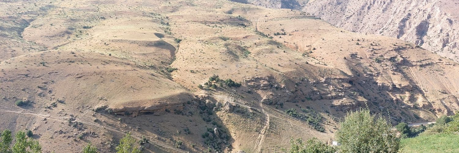 Doç. Dr. Taylan SANÇAR banner