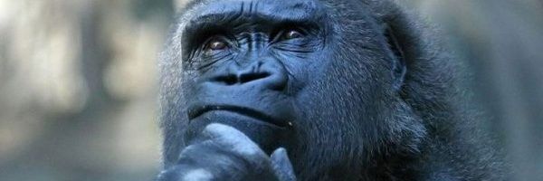 guikeller_'s profile banner image