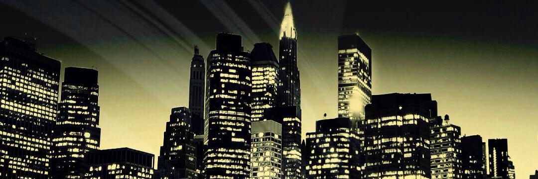 Pulgaa🇳🇱 banner