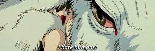 Ratoncilla de campo banner