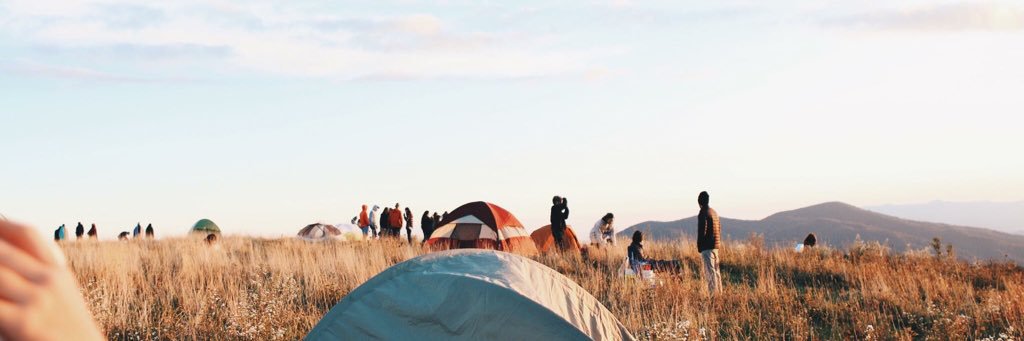 bellaann11's profile banner image