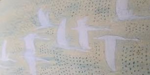 _peacepiece's profile banner image