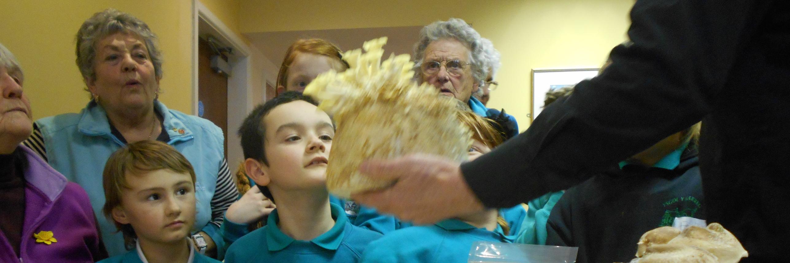 OrganicCymru's profile banner image