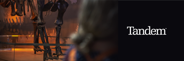 TandemStudio Profile Banner