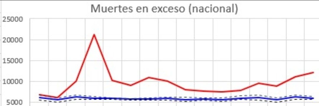 Daniel Simancas-Racines banner