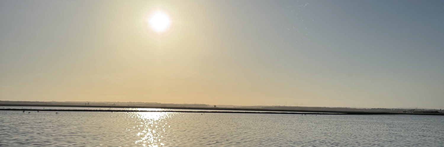 beticada's profile banner image