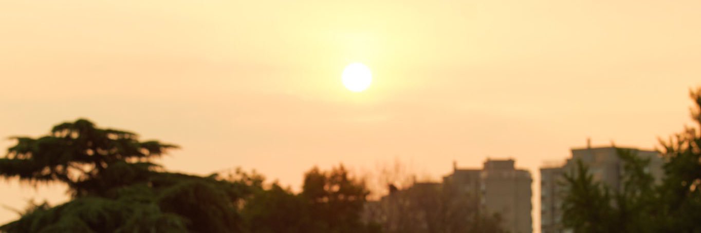 wpbyunee's profile banner image