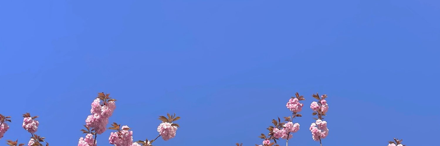 LaraMagiss's profile banner image