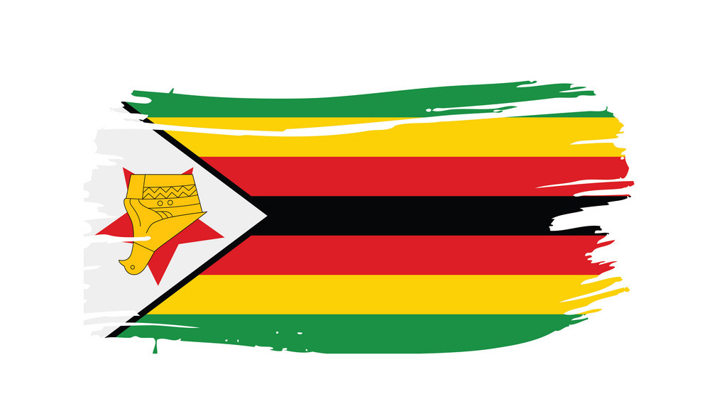 zimwildwarrior's profile banner image
